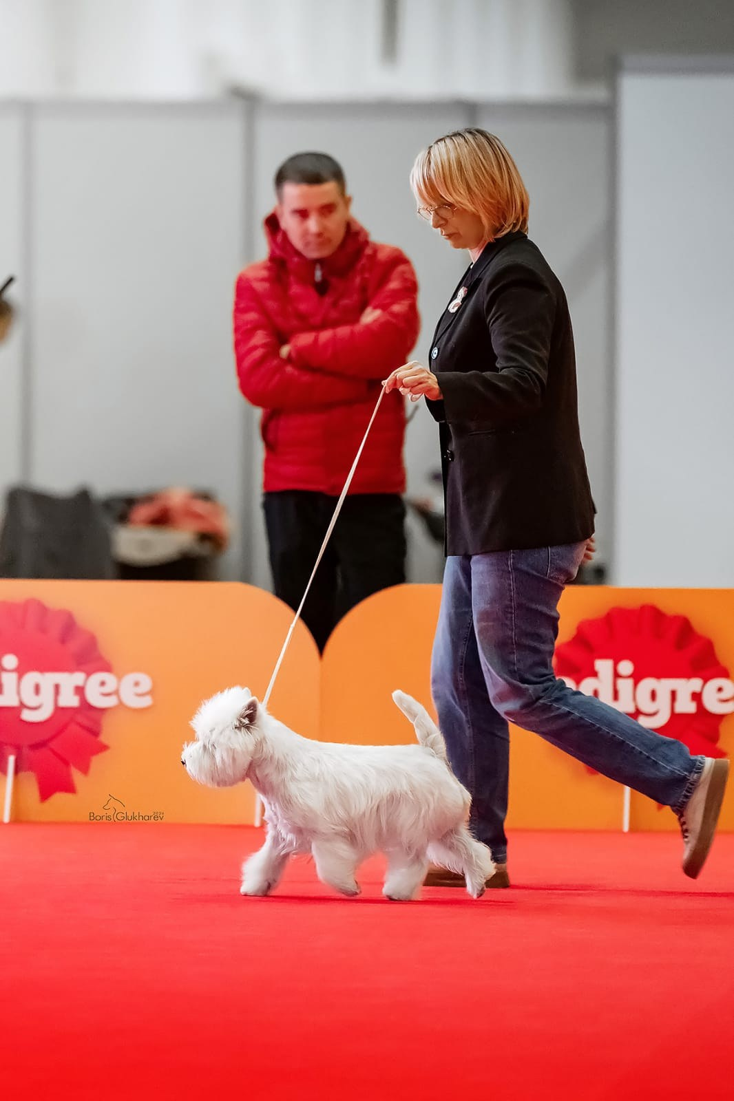 Международные выставки собак в Астане, Казахстан. Питомник собак породы вест хайленд вайт терьер в Москве
