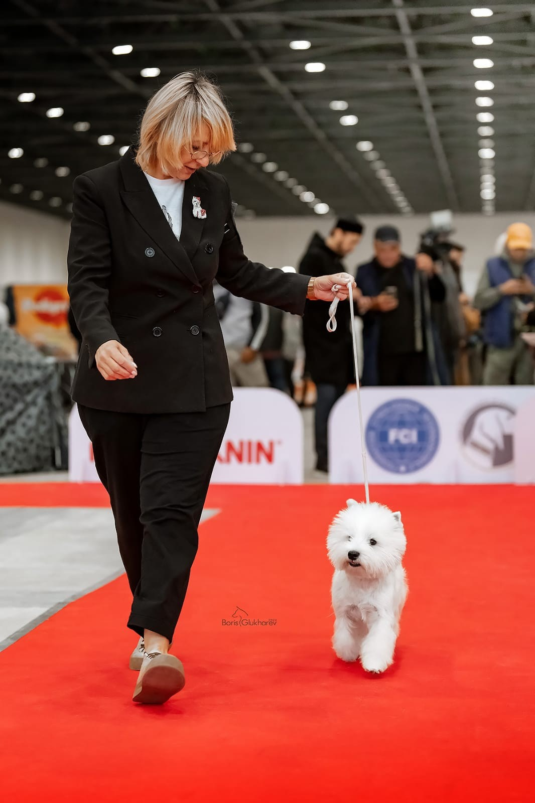 Международные выставки собак в Астане, Казахстан. Питомник собак породы вест хайленд вайт терьер в Москве