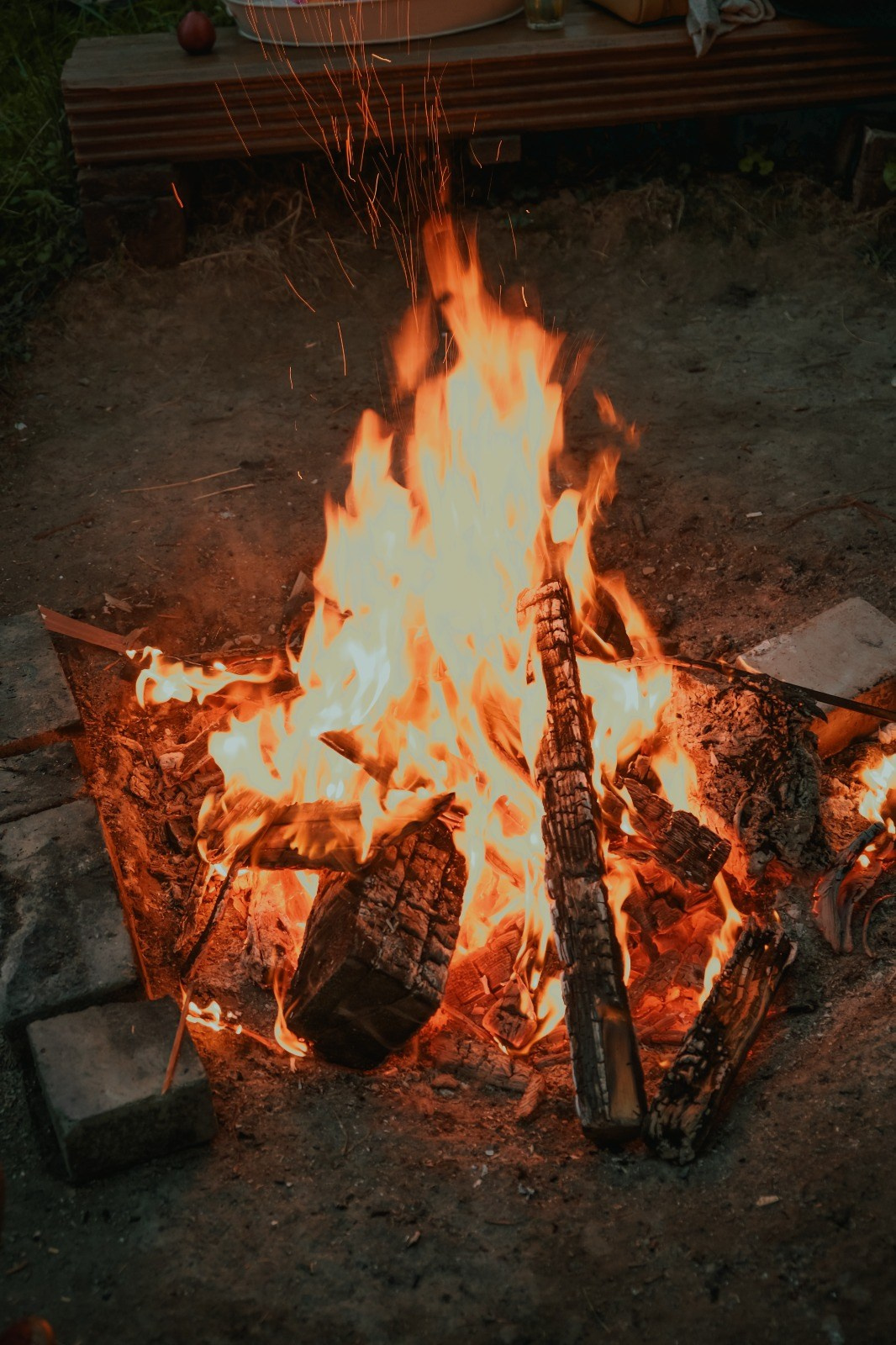 Мероприятия эко отеля в Подмосковье. Эко отдых в Подмосковье в эко-отеле Марии Гиппенрейтер
