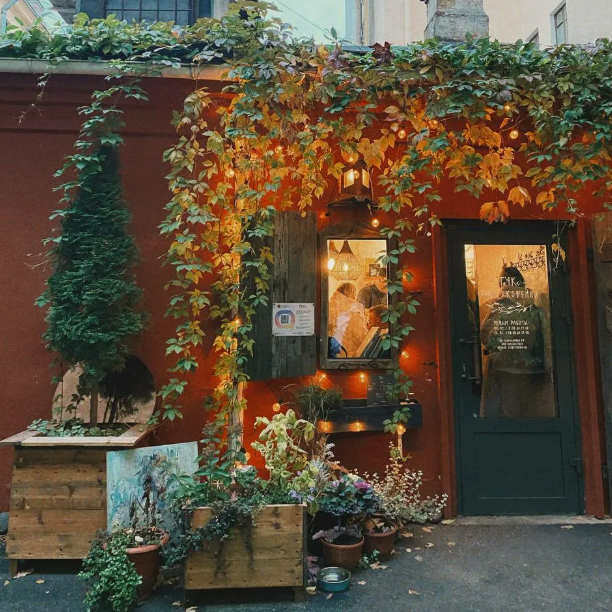 Гайд по Петербургу. Семейный, Свадебный фотограф СПБ Питер— Романова Екатерина