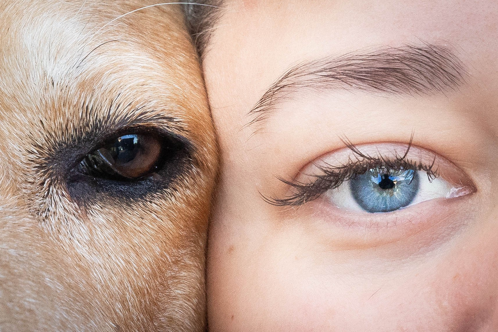 Фотограф-АниМалист Анна Абрамова