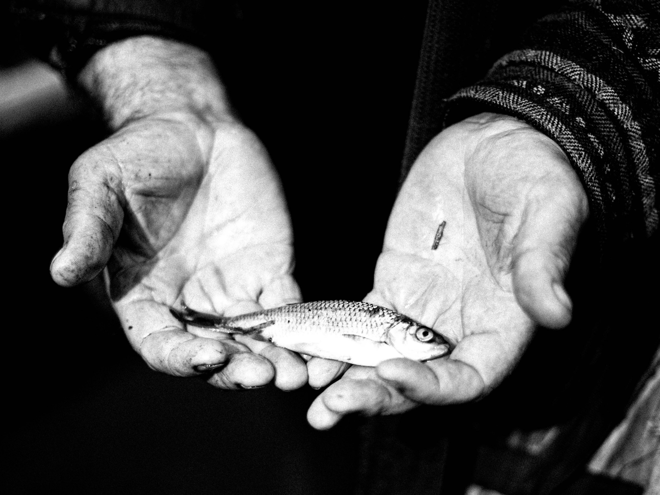 Дроздова Ирина. ARTEXPOPHOTO