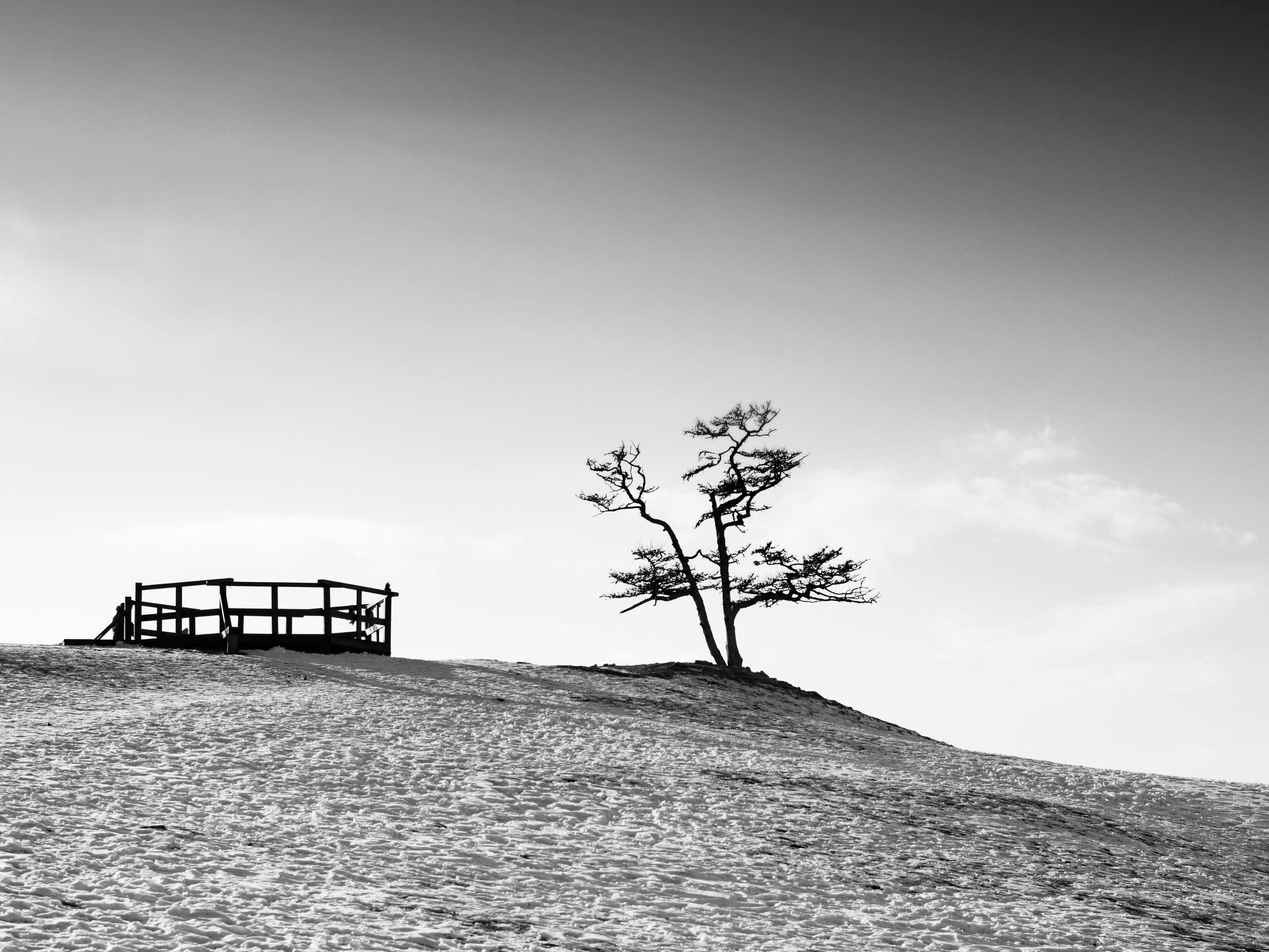 Жарова Елена. ARTEXPOPHOTO