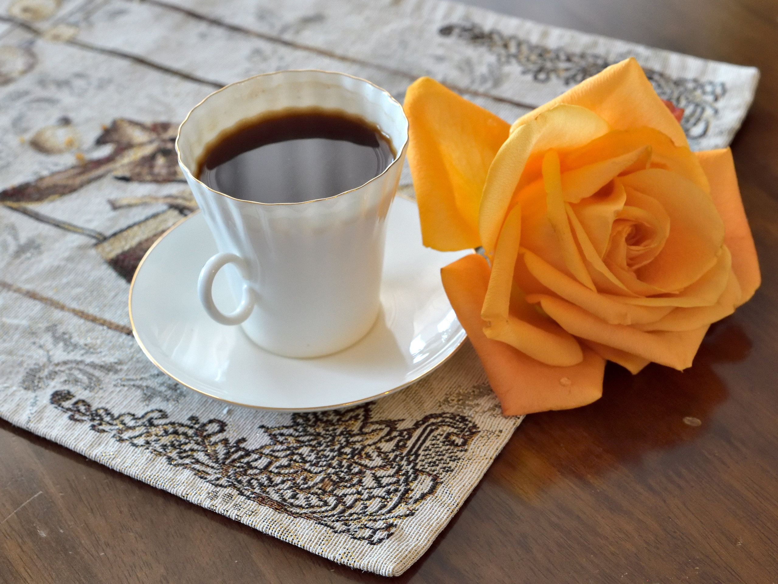 Портфолио. Сергей Люльченко фотоальбом