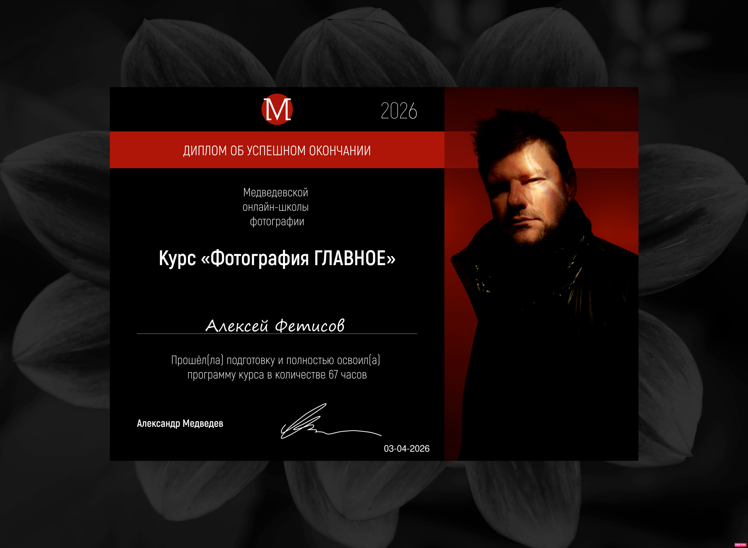 Контакты. Дай портреты молодым