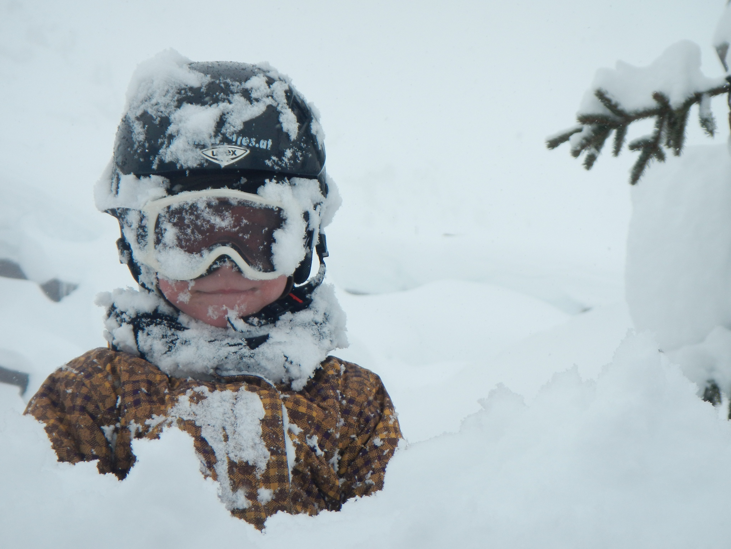 2013 — Австрия. OneSnap