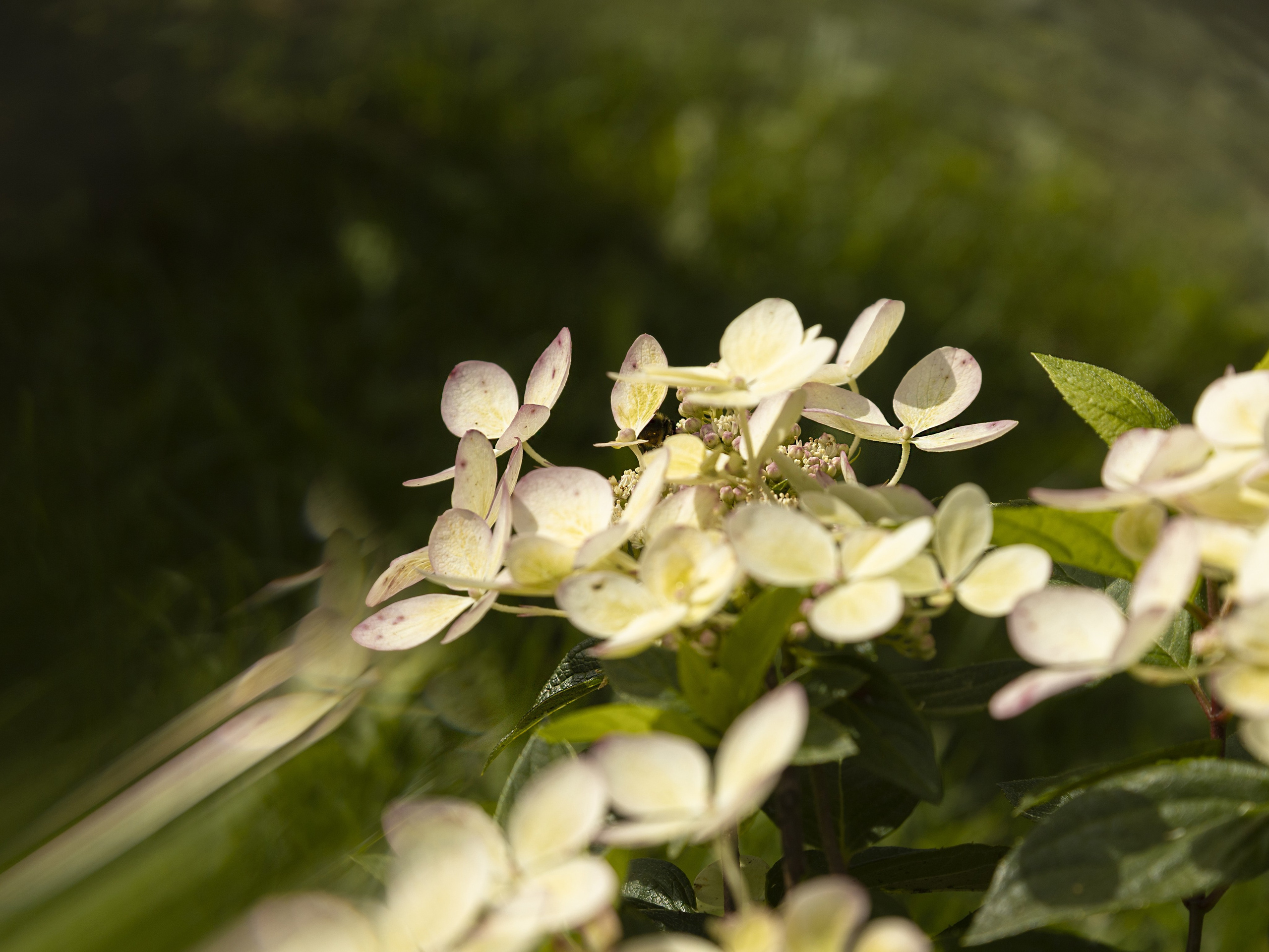 Шишкина Елена. ARTEXPOPHOTO