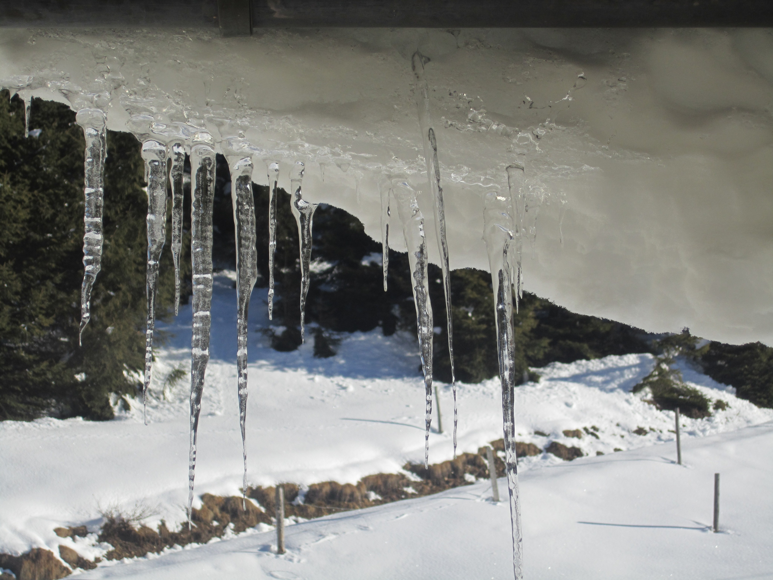 2011 — Австрия. OneSnap