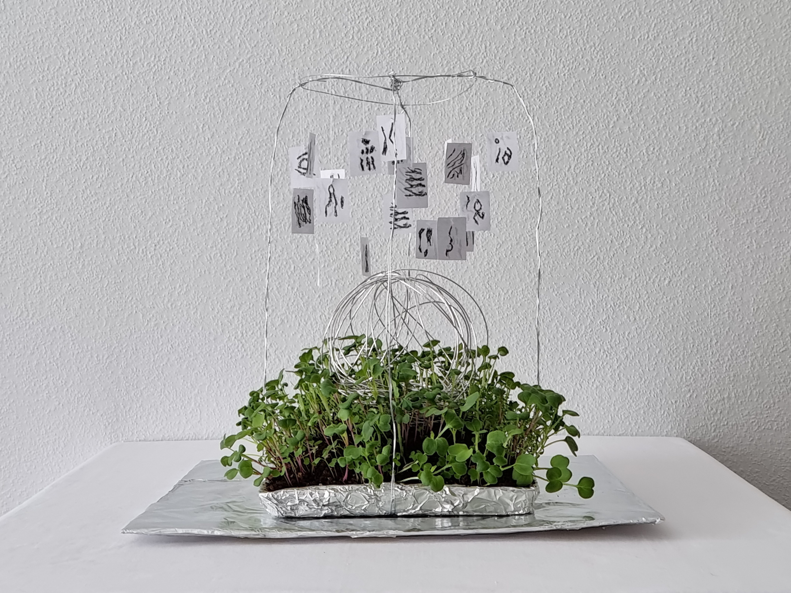 Ангелина Богданова