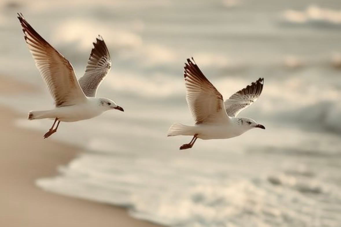 Прайс. Психолог Светлана Анисимова