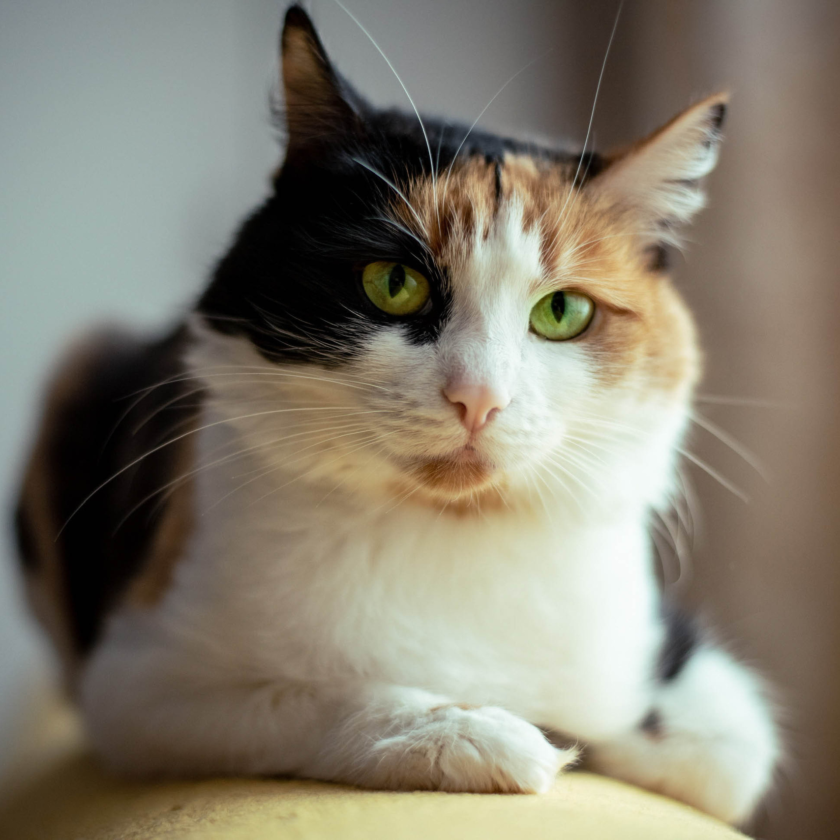 Фотограф Максим Серебряков Москва