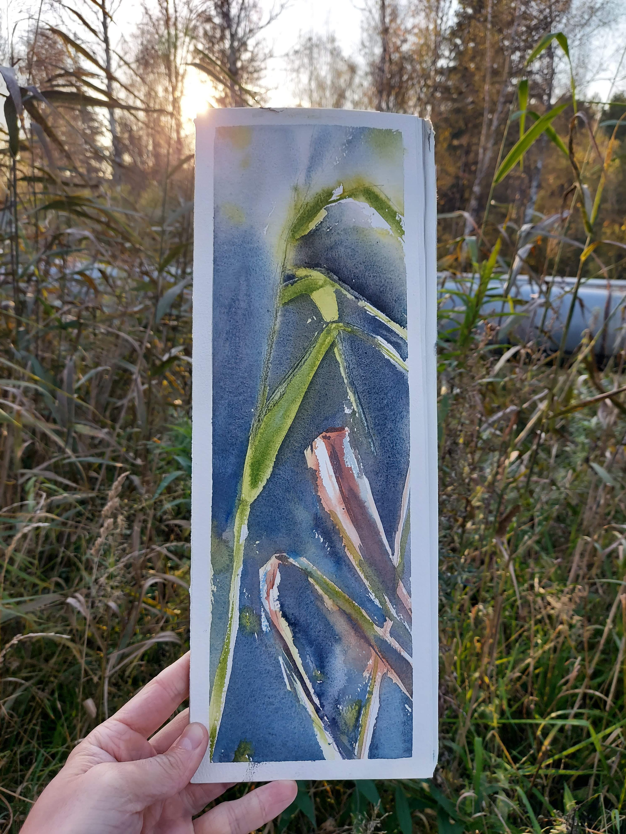 Exhibitions. Alexander Manaenkov | Watercolor Artist from Siberia