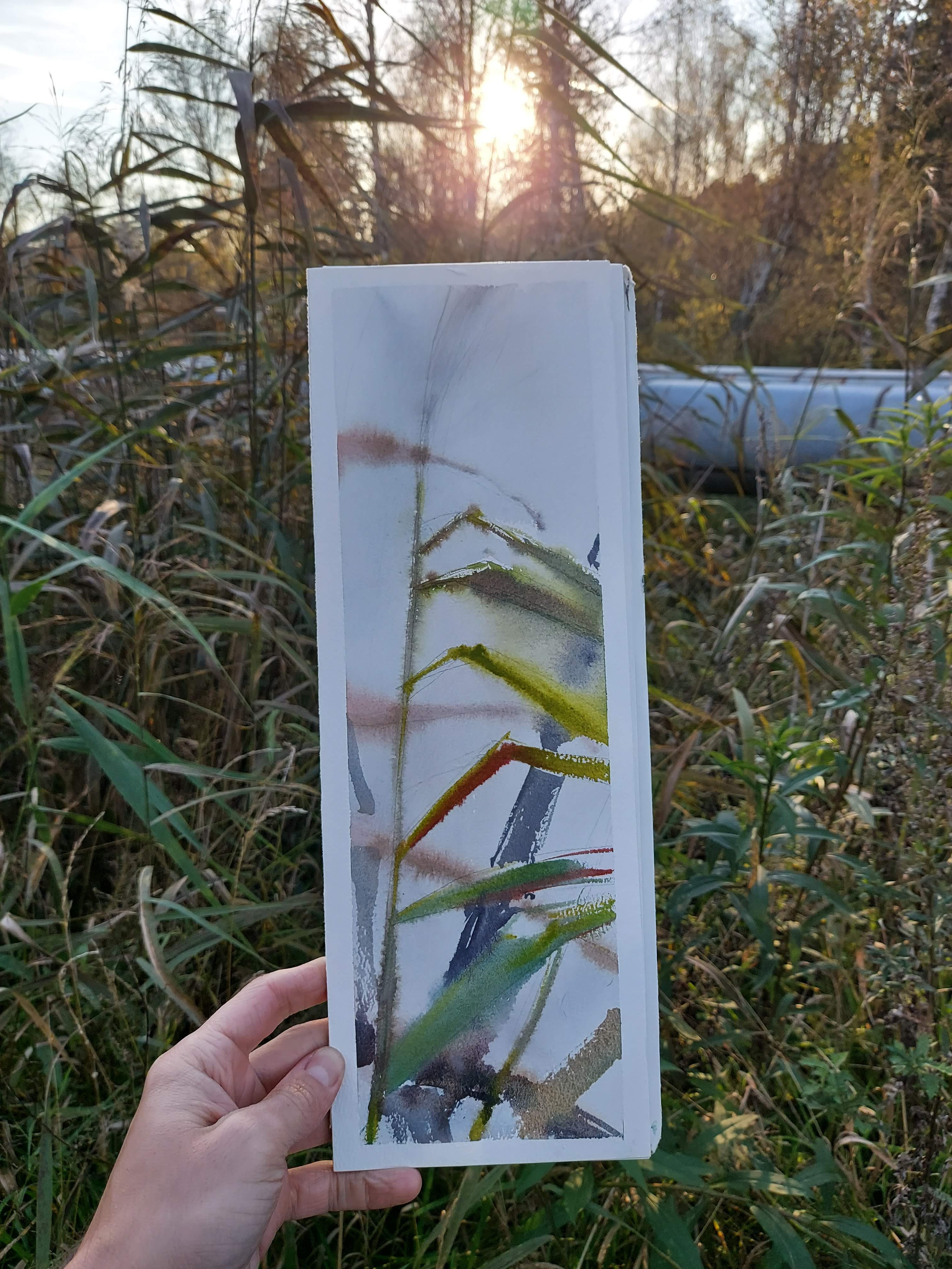 Exhibitions. Alexander Manaenkov | Watercolor Artist from Siberia