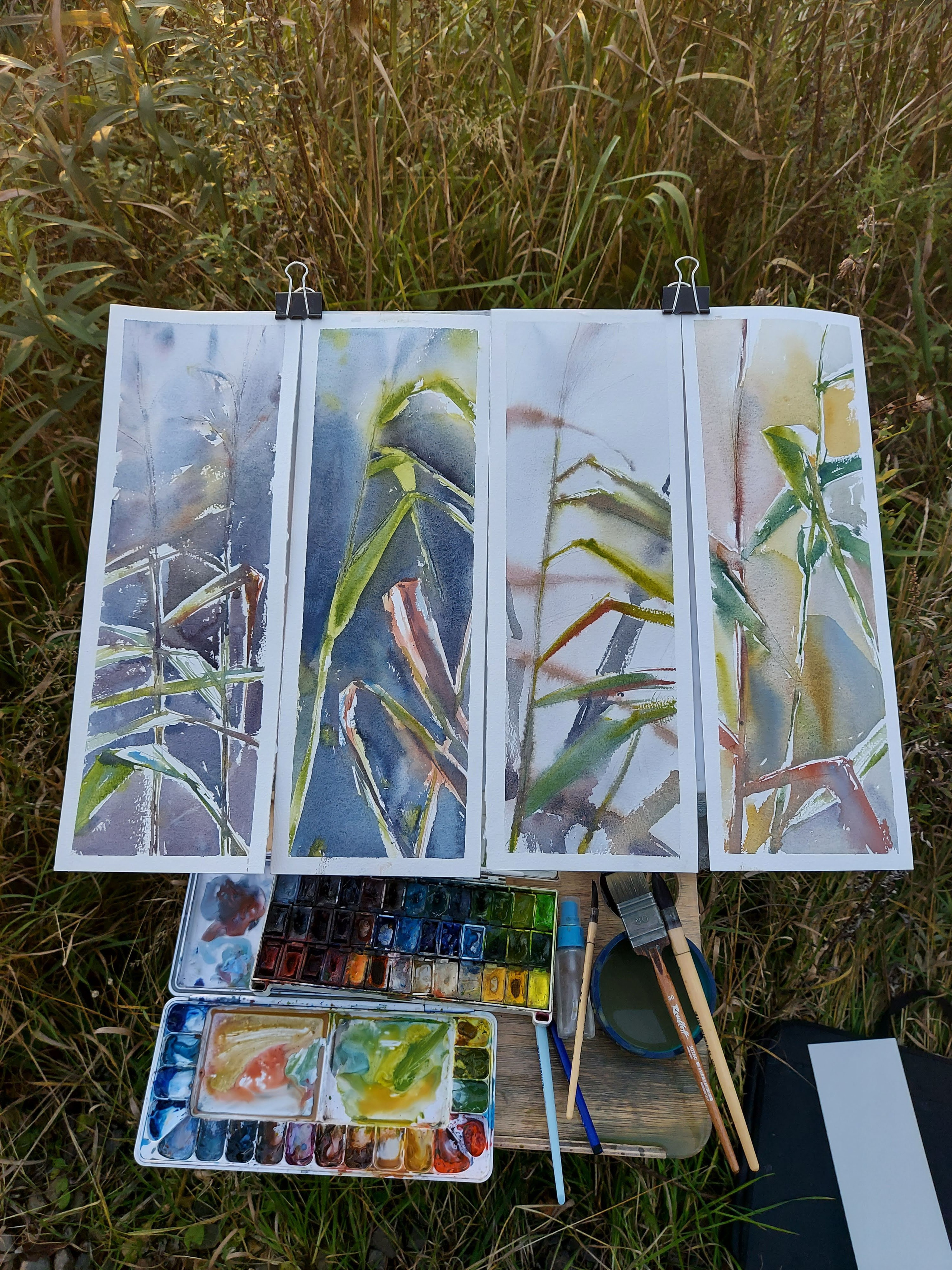 Exhibitions. Alexander Manaenkov | Watercolor Artist from Siberia