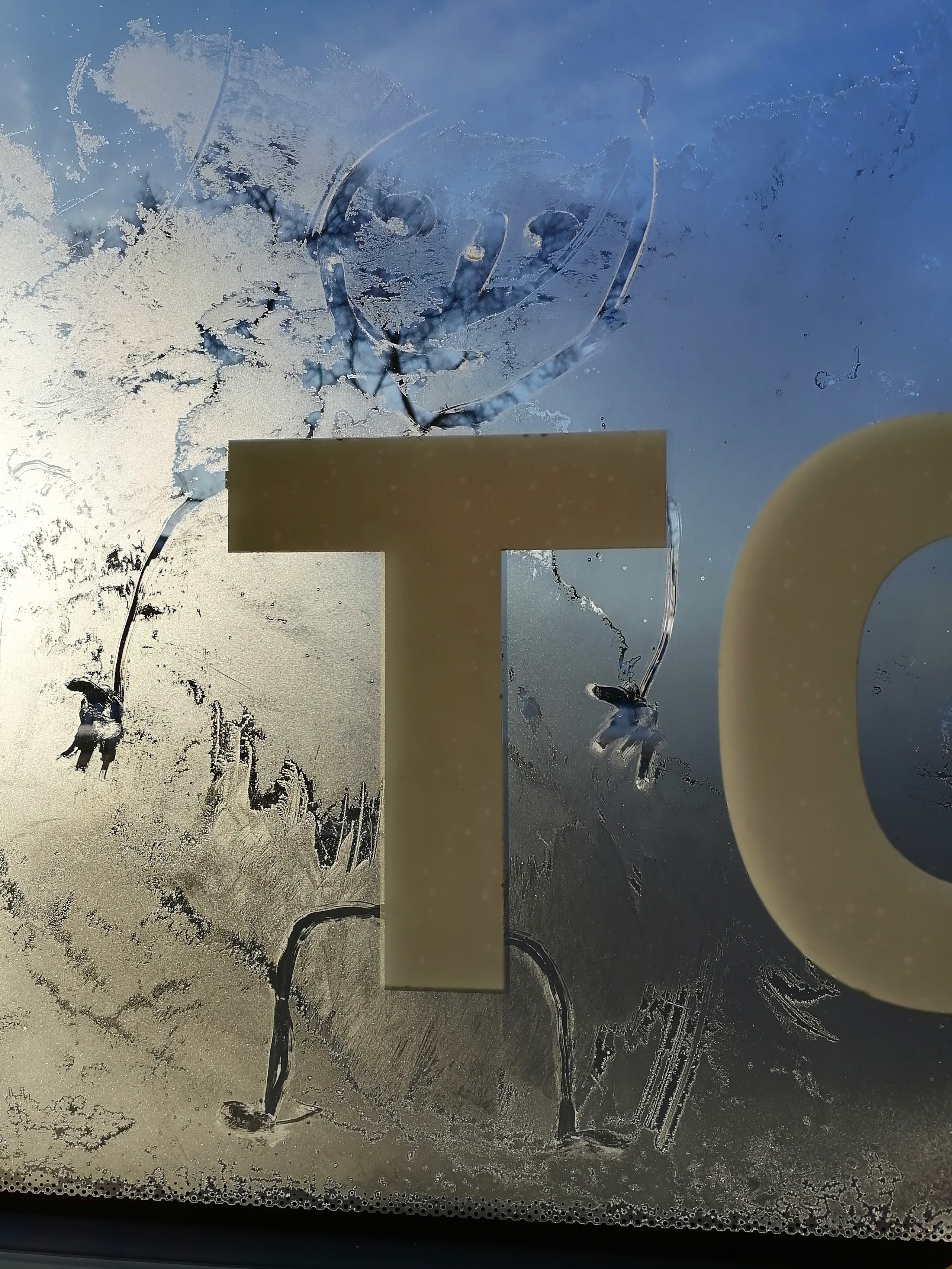 Рисункинаокнахавтобуса. Художник Рыбак Николай