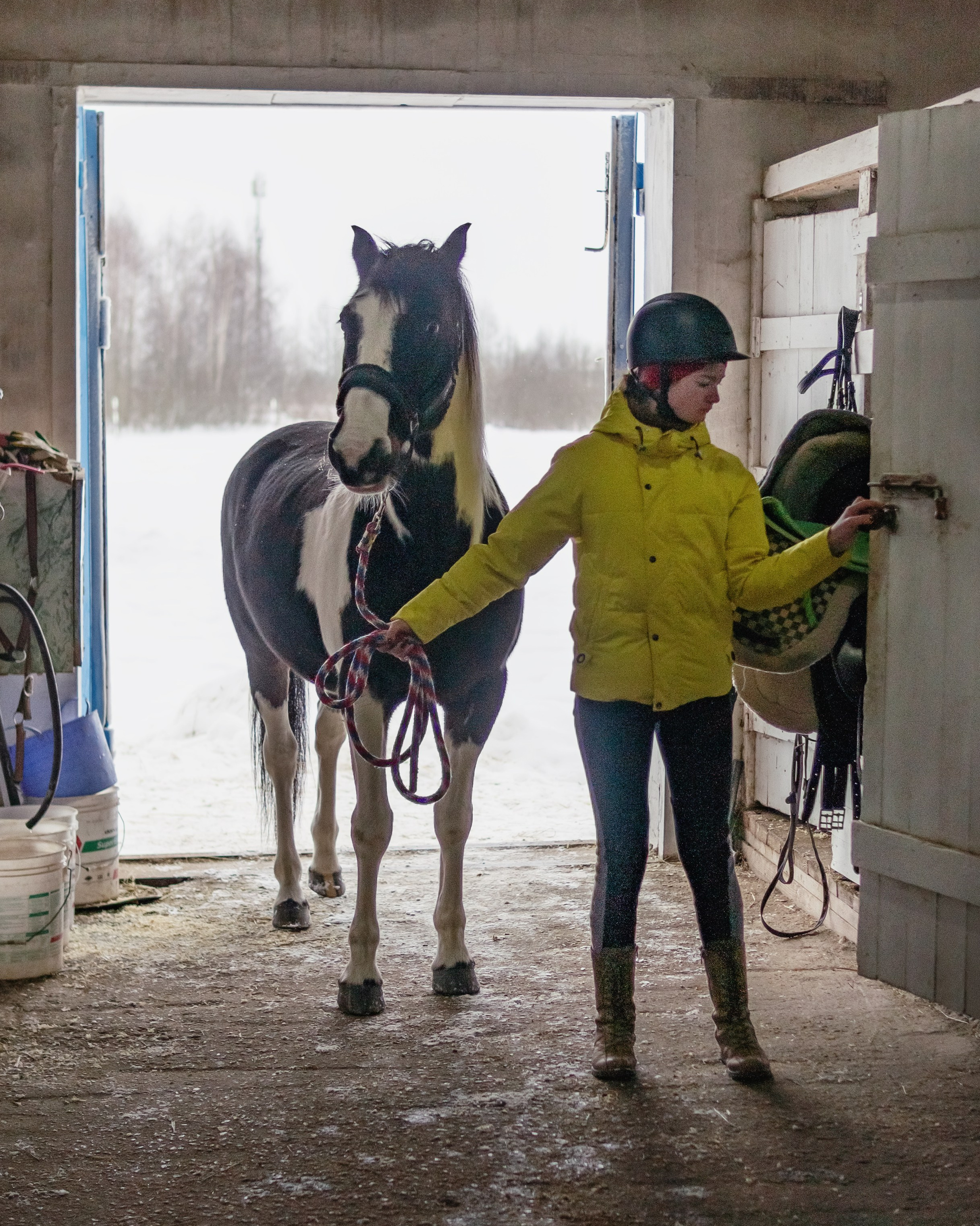 Конноспортивная школа Добрый конь город Белоозерский