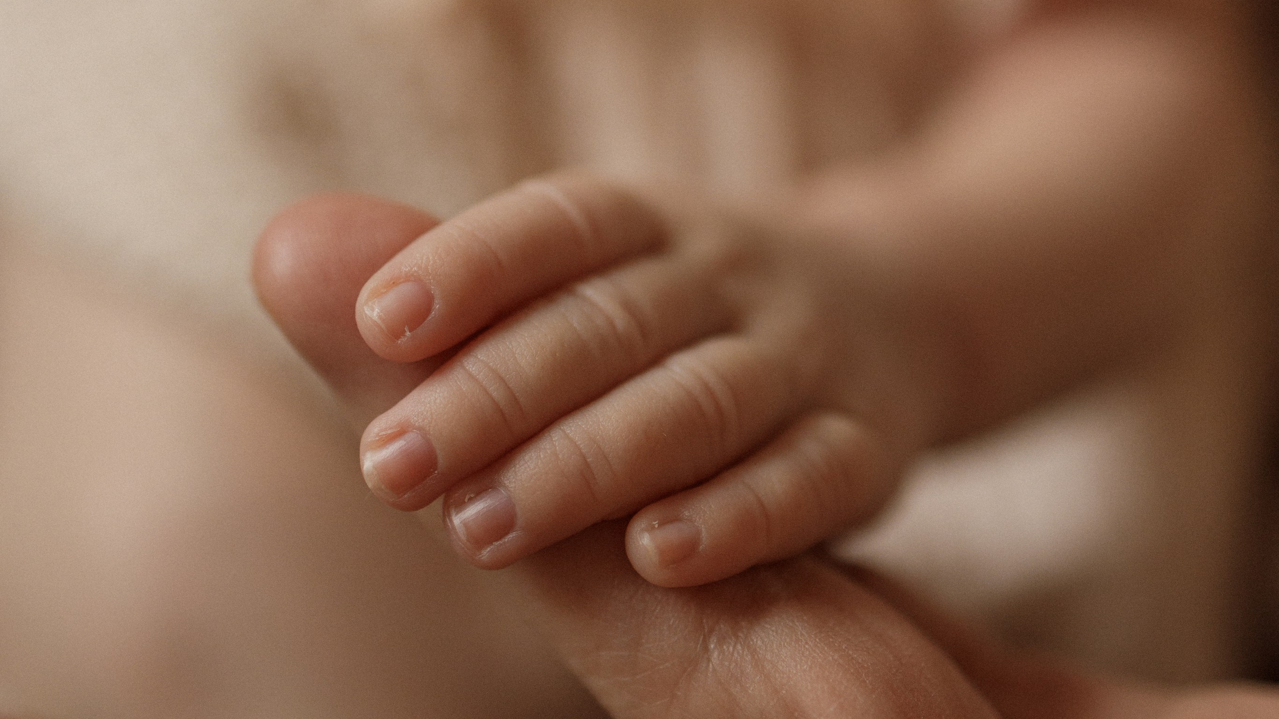 Услуги. Марина Мужиченкова. Семейная и детская фотосъёмка в Москве