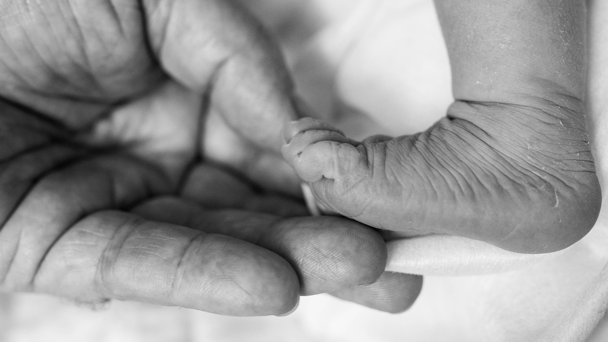 Съёмка родов. Как проходит и какая требуется подготовка?. Анастасия Воропаева — репортажный фотограф СПб на роды, выписки, камерные торжества