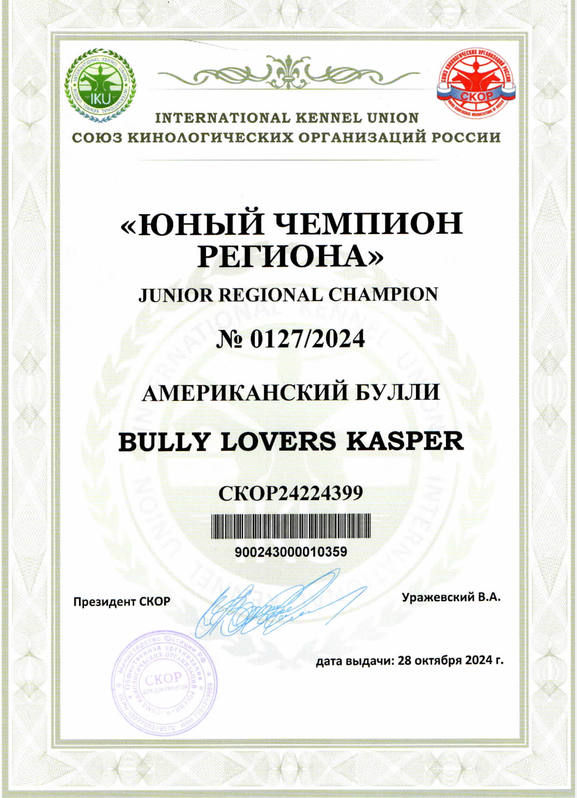 купить щенка American Bully в Волгограде