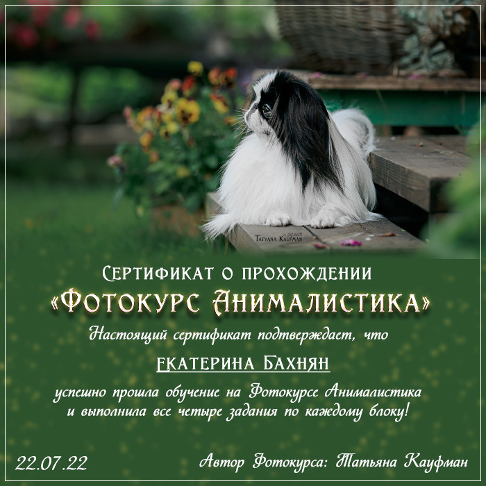 Ответ на вопрос 0001 по Фотокурсу Анималистика. Фотограф Анималист из Новосибирска Татьяна Кауфман