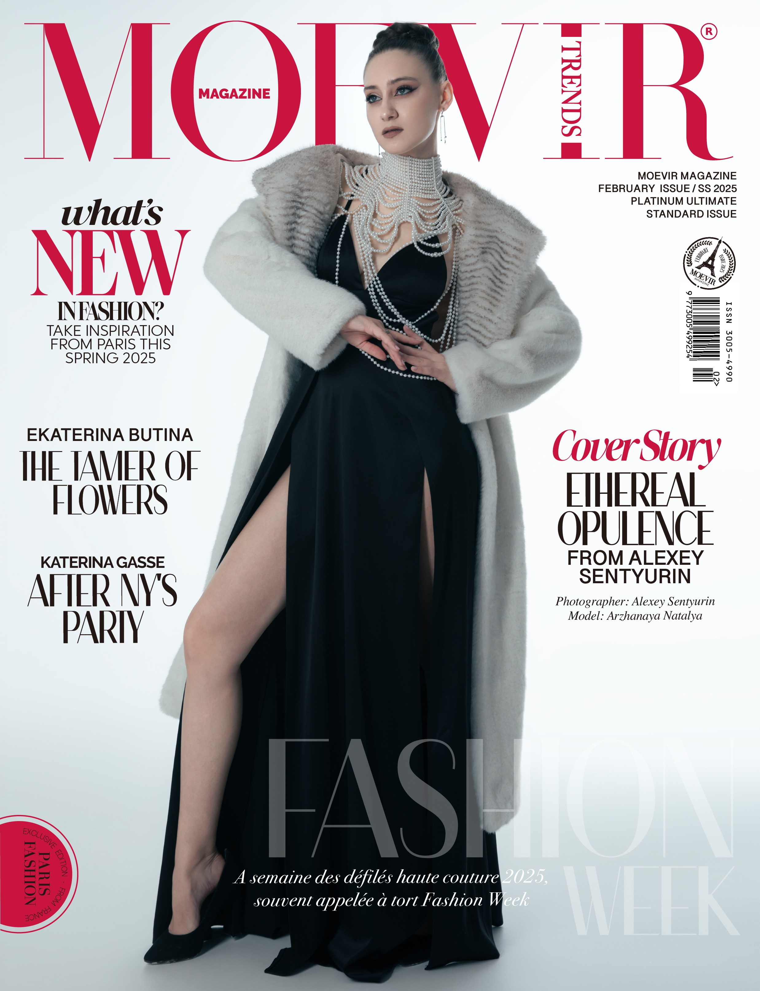 Публикации в журналах. Anika Moc