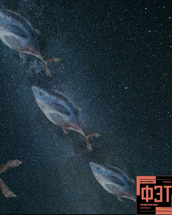 Наталья Переверзева