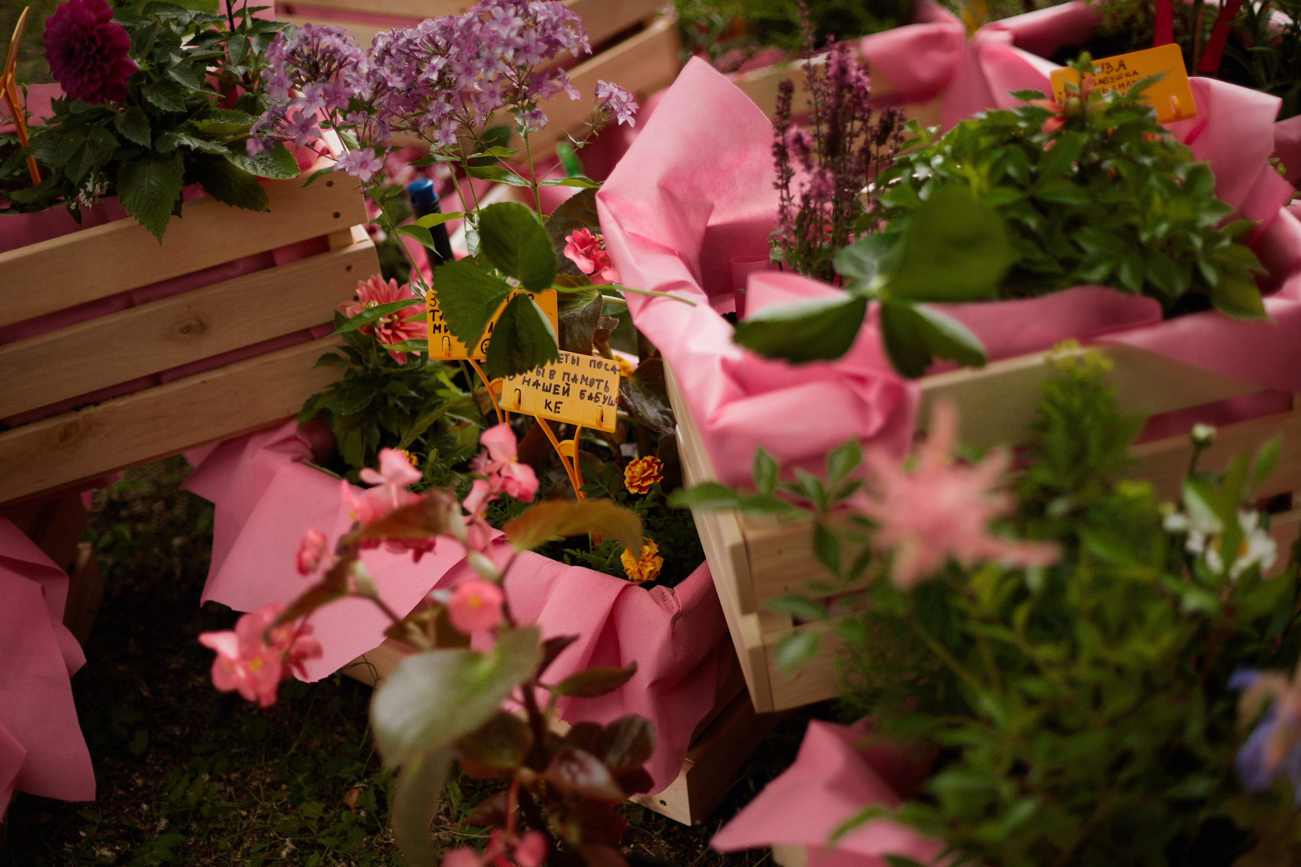 В Тюмени прошла лаборатория «Палисадник памяти»