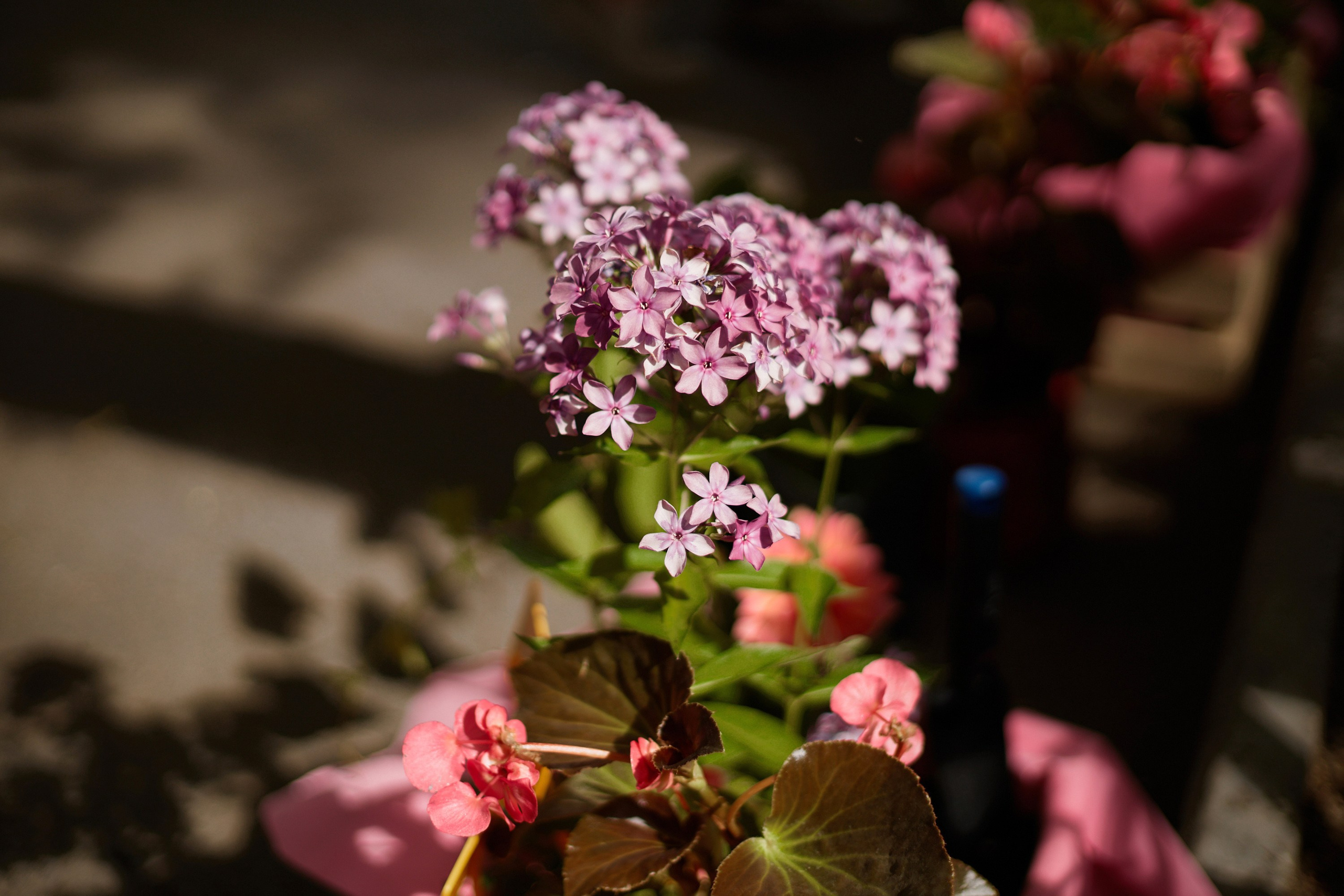 В Тюмени прошла лаборатория «Палисадник памяти»