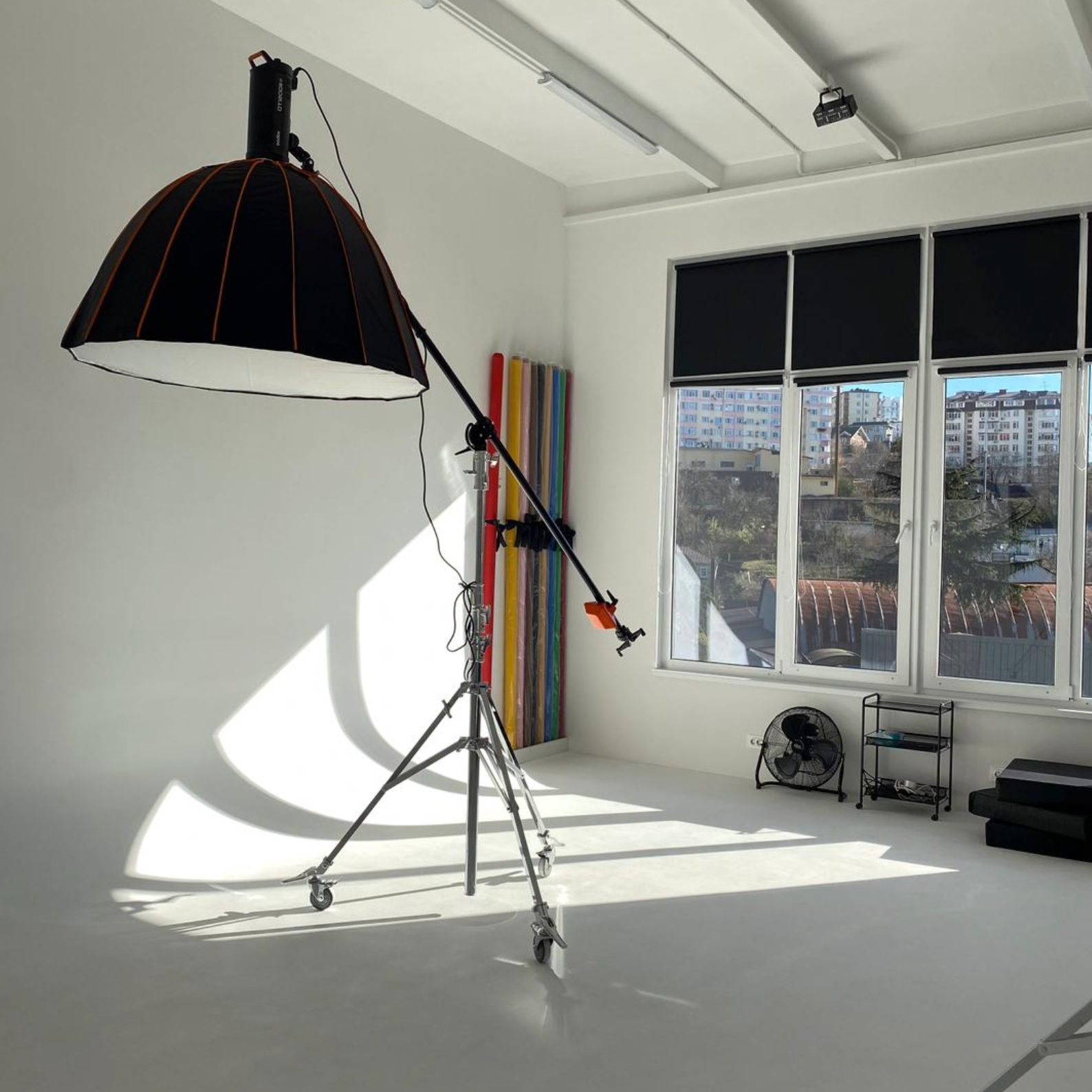 журавль в фтостудии, фотосессии в студии