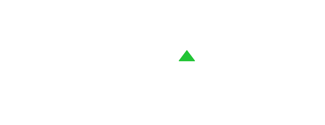 Проект «1st-Burger»