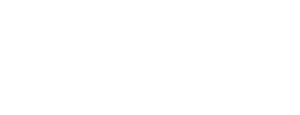 Проект «1st-Burger»