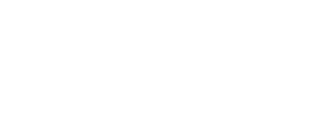 Проект «1st-Burger»