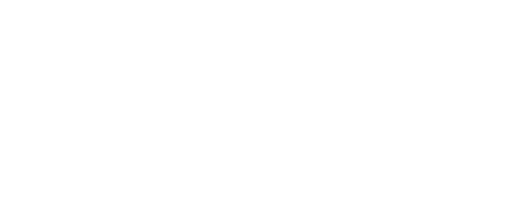 Проект «1st-Burger»