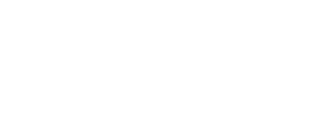 Проект «1st-Burger»