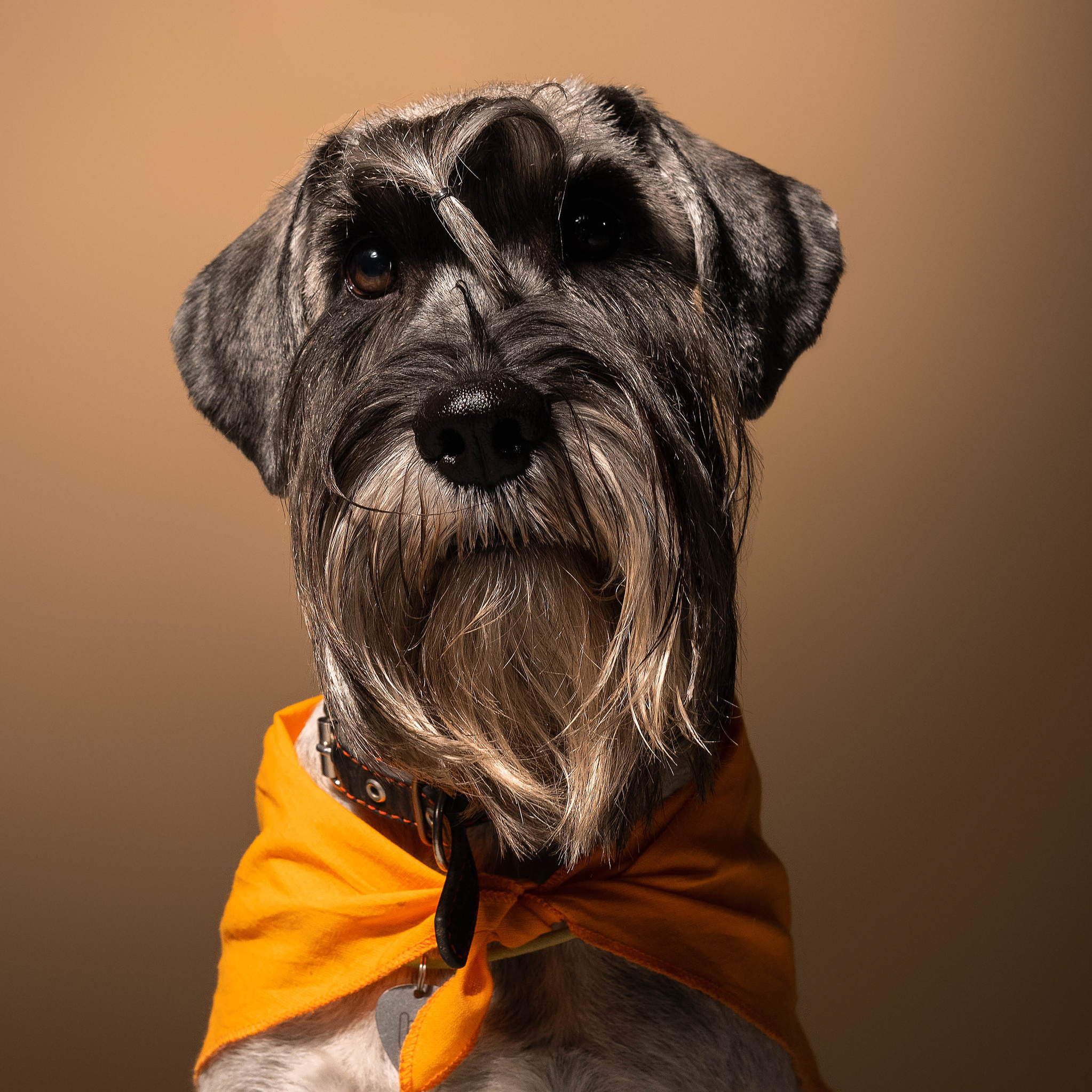 Услуги. Фотограф в Самаре | Варя Борисова