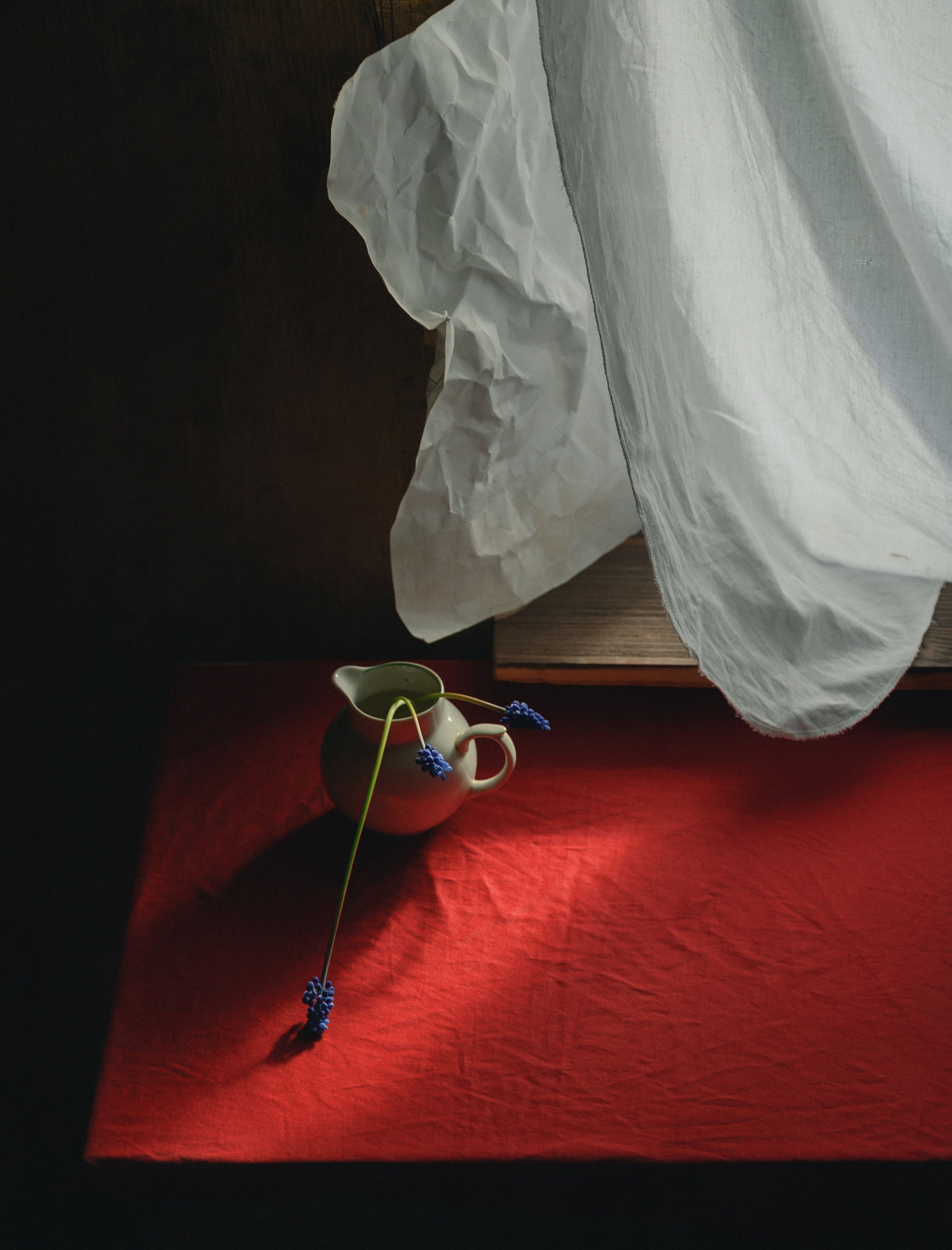 Состоялось открытие выставки «Тайная жизнь. Портрет и натюрморт». Фотограф Елена Хазина, Рязань