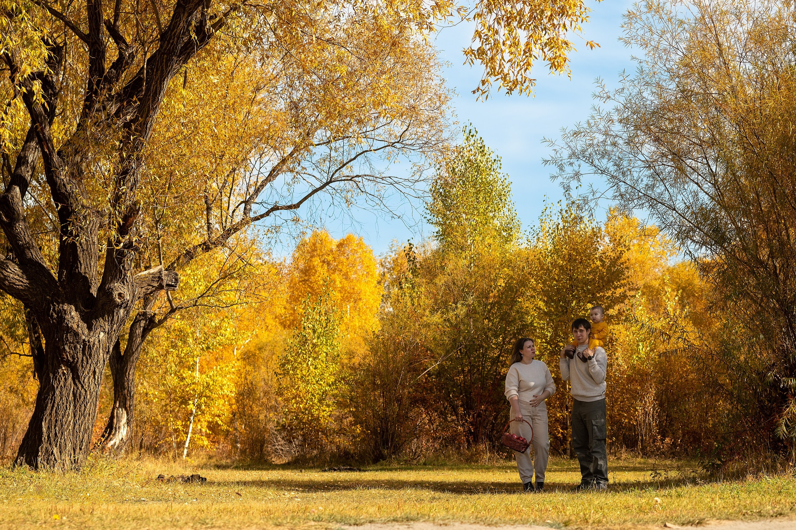 Услуги. Главная