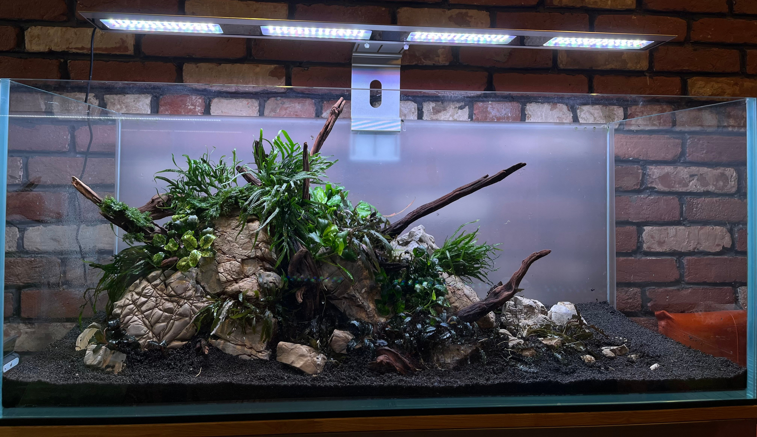 Переоформление растительного аквариума. Аквариумист Максим Ерёмин. Aqua Maxim