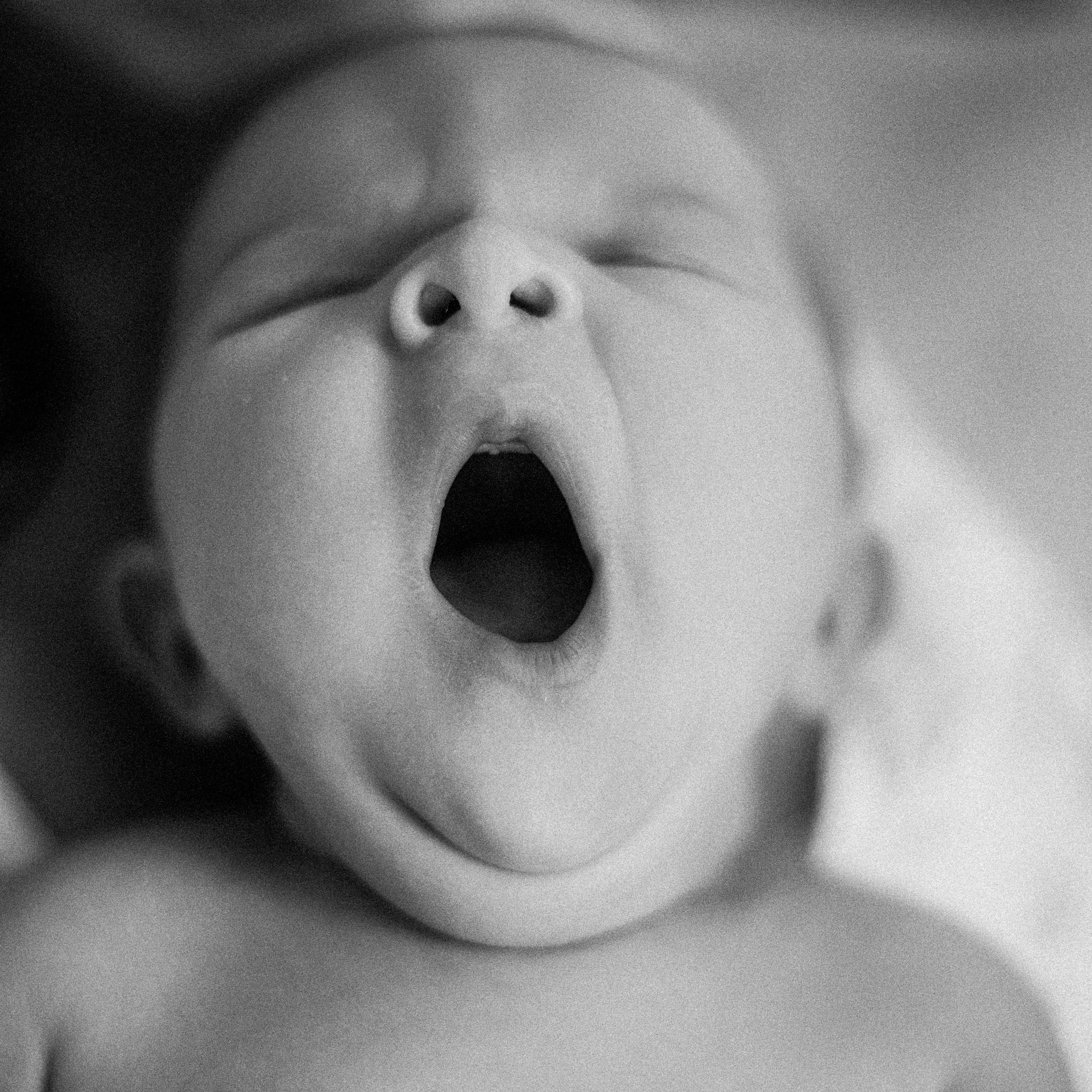 Портфолио. Семейный фотограф Виктория Потехина Москва