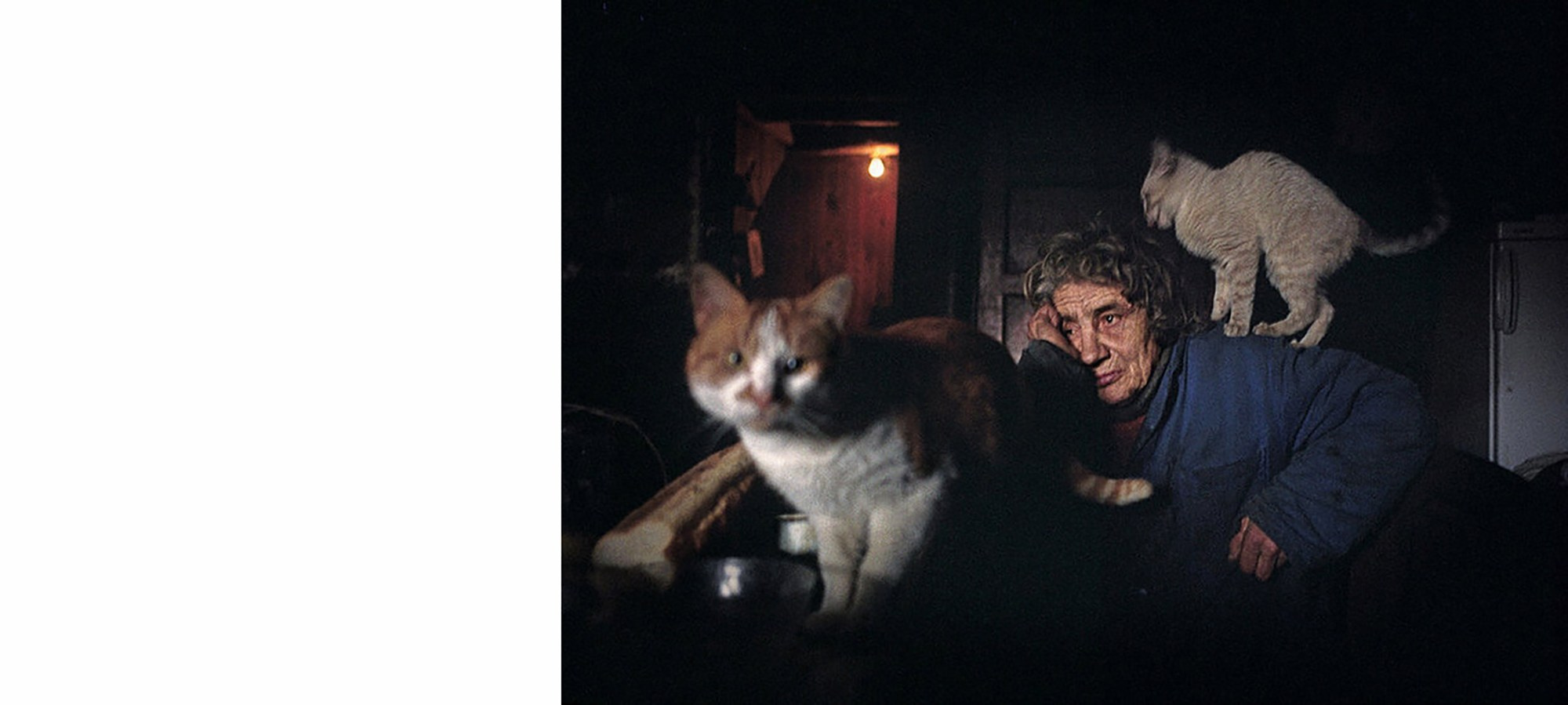 Christophe Agou «Face au silence». …