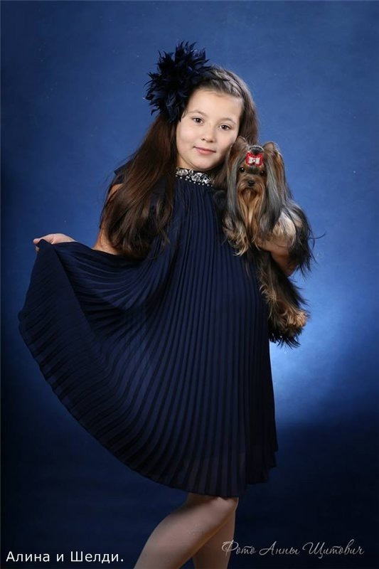 Дэнстайл Шелди. Питомник Йоркширских терьеров Дэнстайл в Санкт-Петербурге заводчик Тих