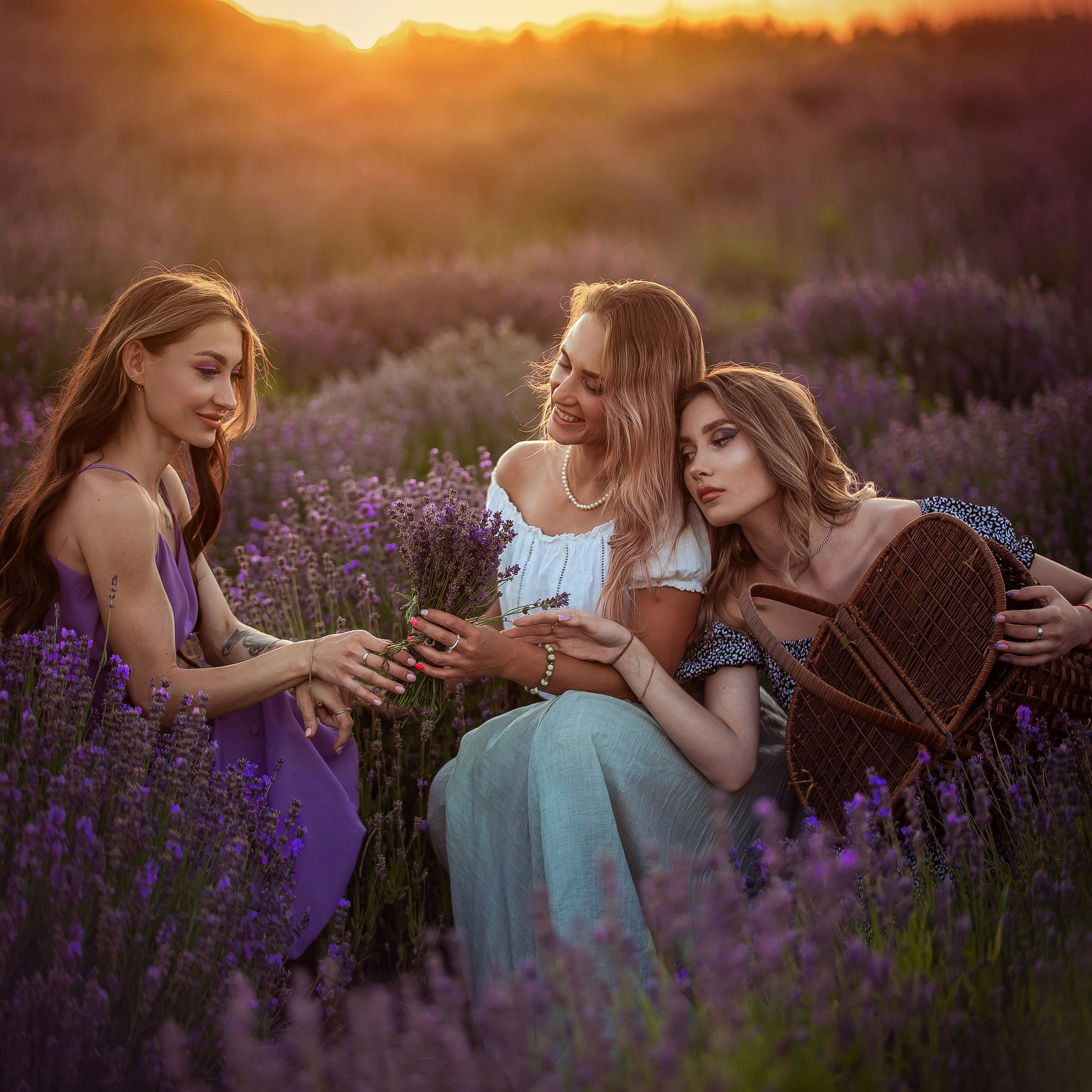 Лавандовые поля 2022. Арт-фотограф Евгений Матвиенко