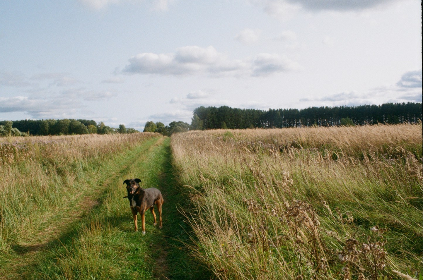 Горетово (2016-2022) — Избранные серии — Документальный фотограф Настя Сергеева