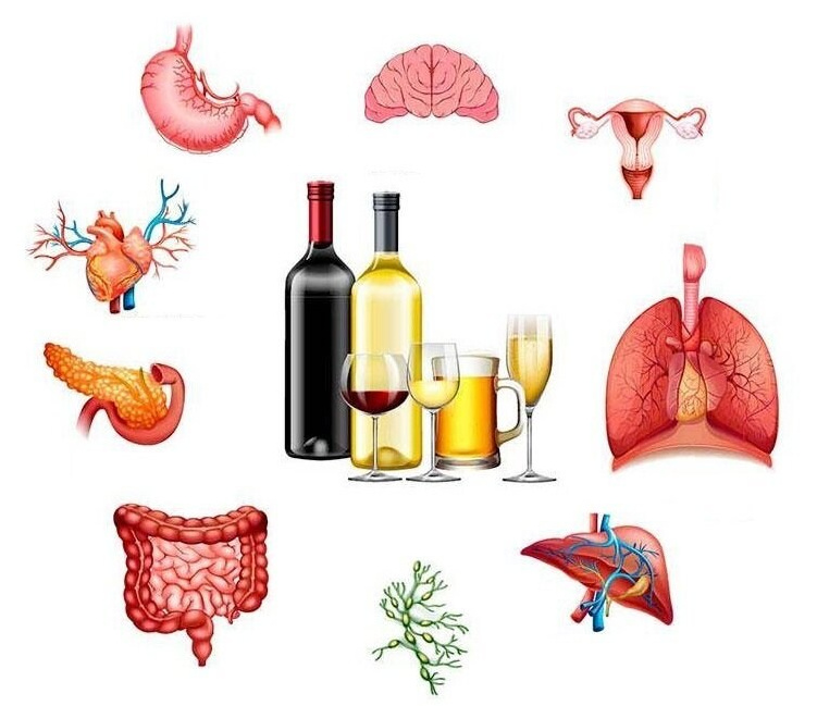 Алкоголь и его вред. Стадии алкоголизма. Сово-Сово — Омоложение и оздоровление!