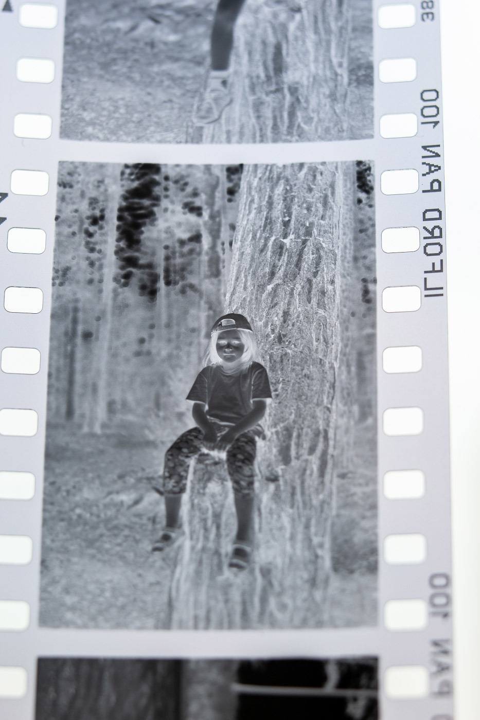 Температура раствора для обработки плёнок. Фотограф Евгений Стельмах в Молодечно и Минске