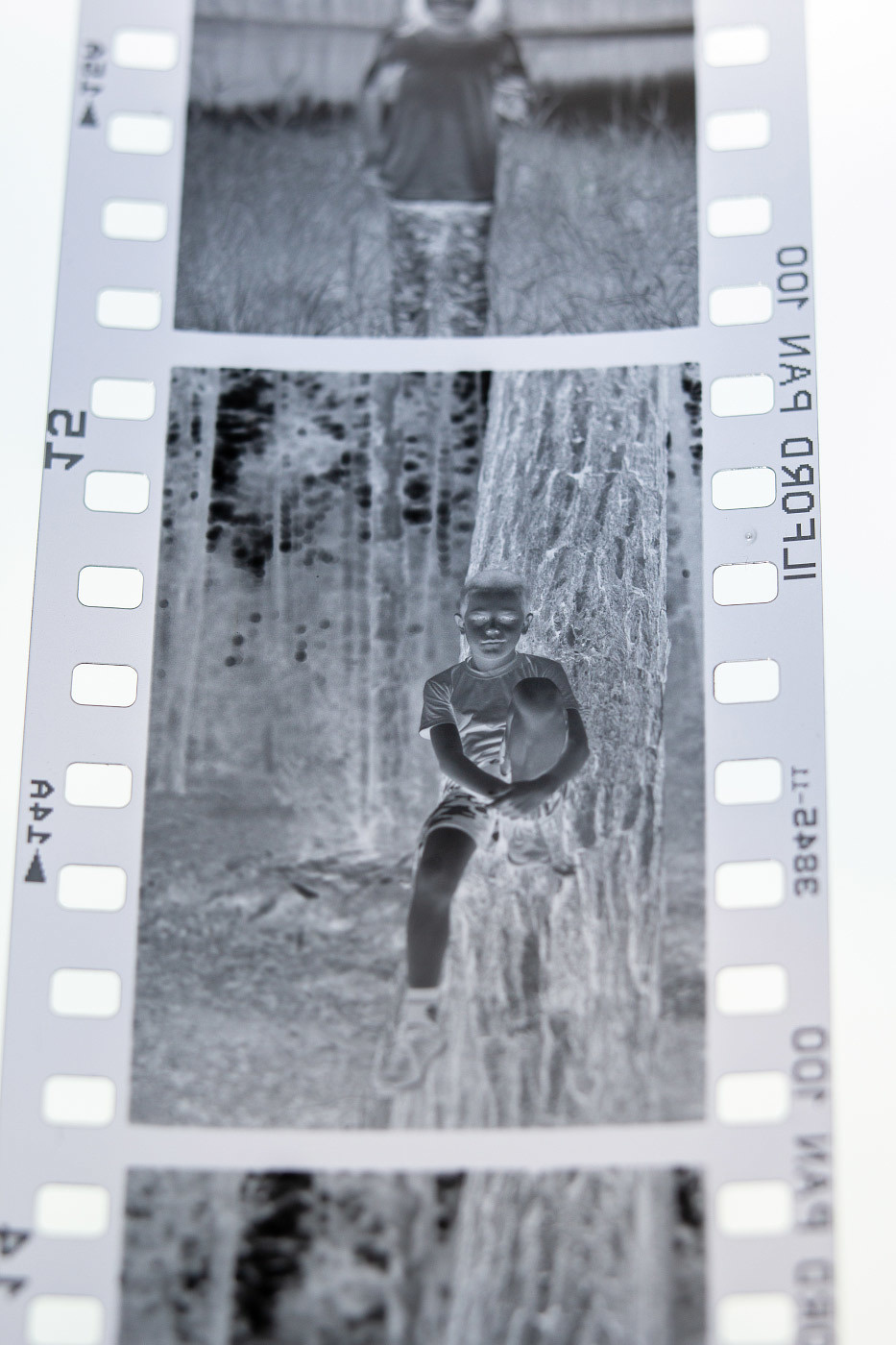 Температура раствора для обработки плёнок. Фотограф Евгений Стельмах в Молодечно и Минске