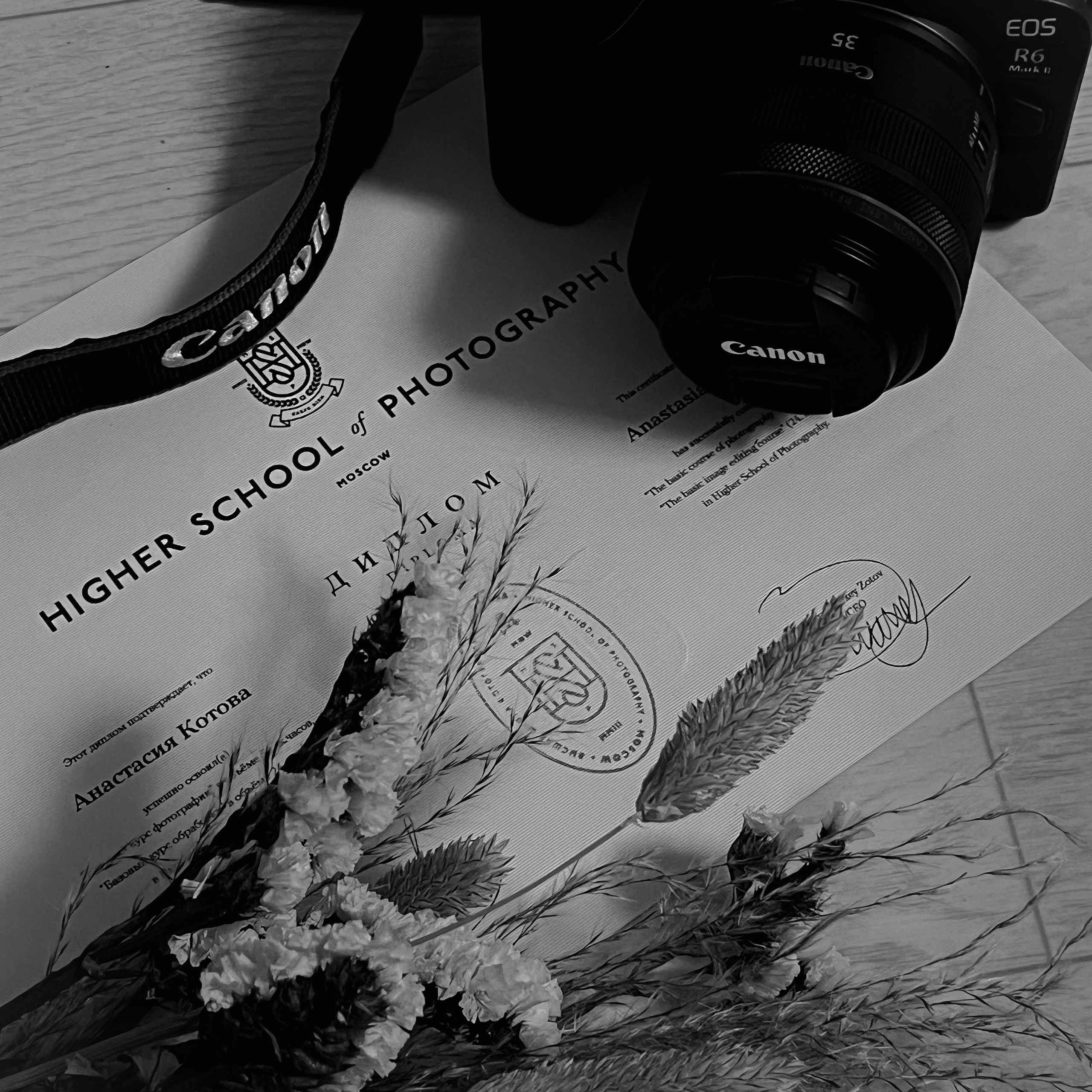 Фотограф Анастасия Великоборец