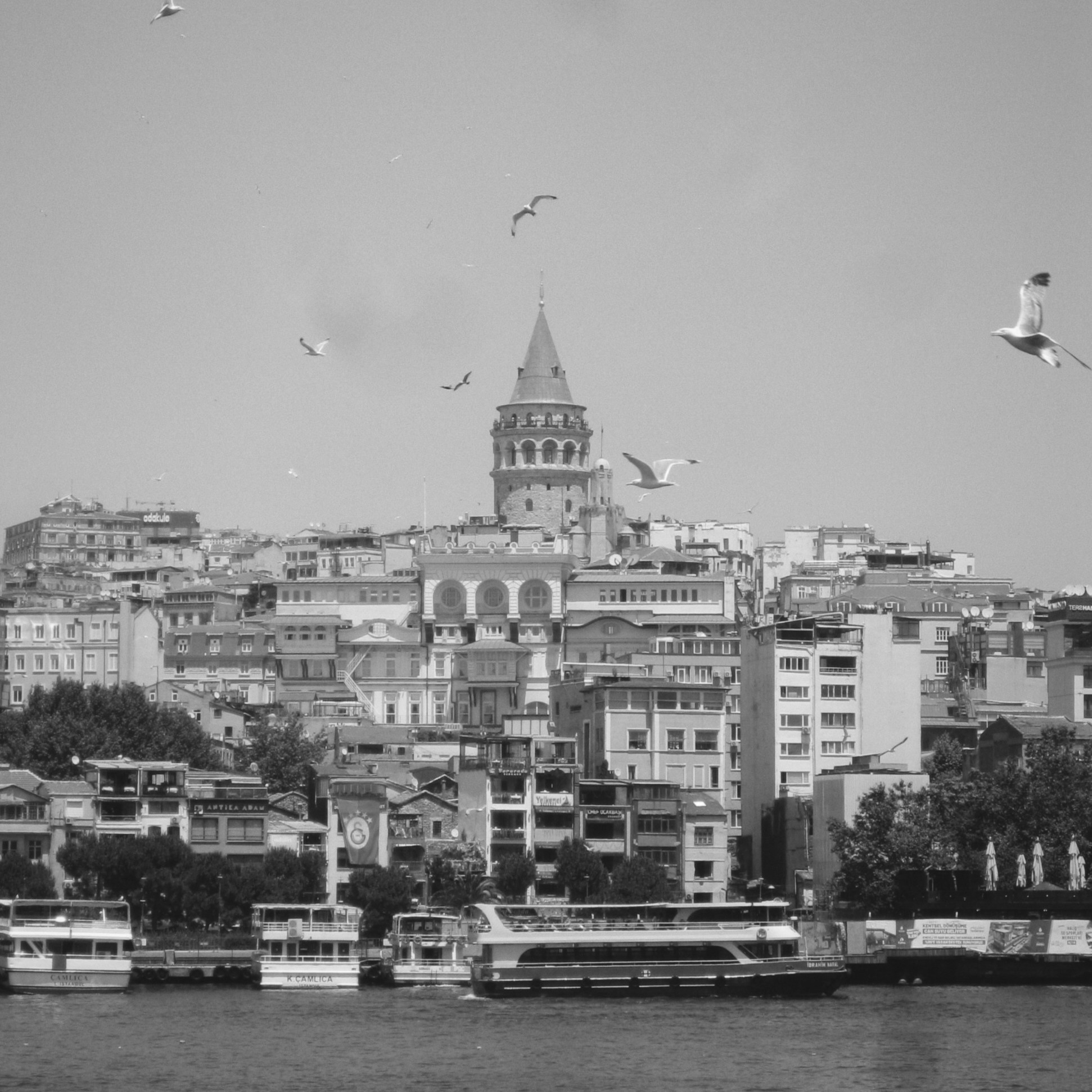 Услуги. Фотограф | Москва