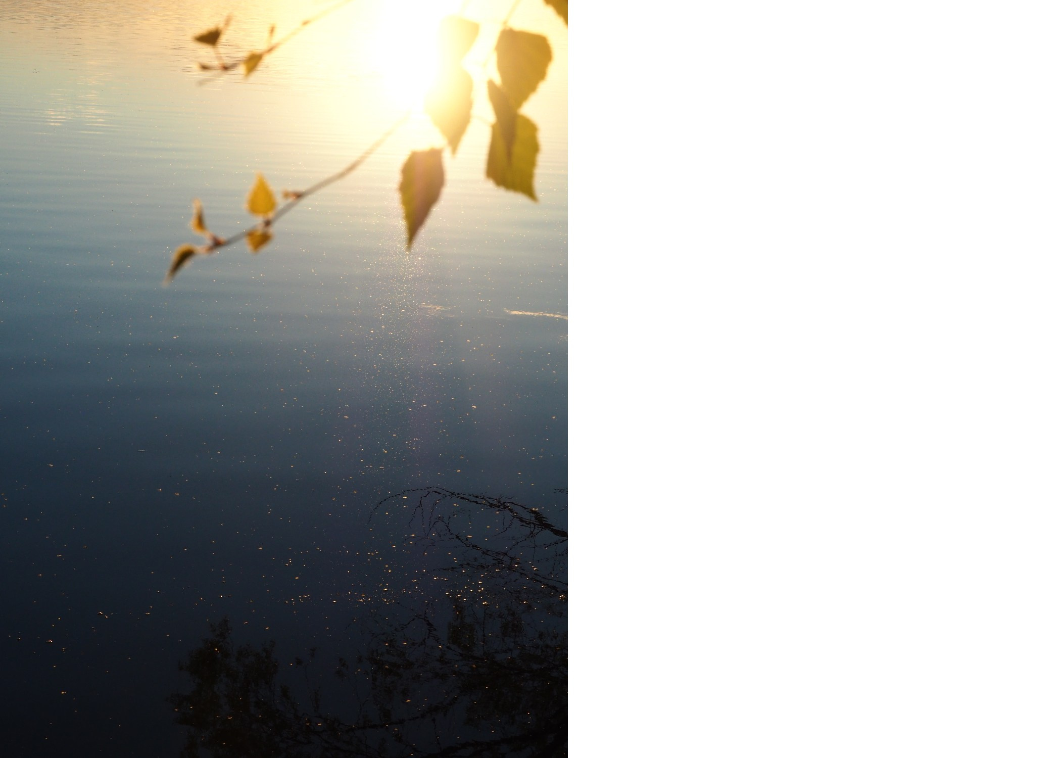 Горетово (2016-2022) — Избранные серии — Документальный фотограф Настя Сергеева