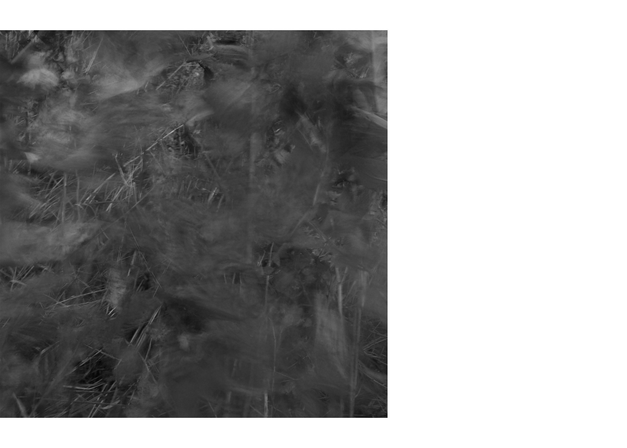 Горетово (2016-2022) — Избранные серии — Документальный фотограф Настя Сергеева